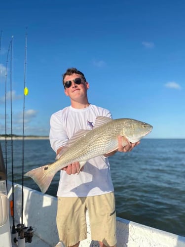 Gulf Shores Inshore Trip in Gulf Shores