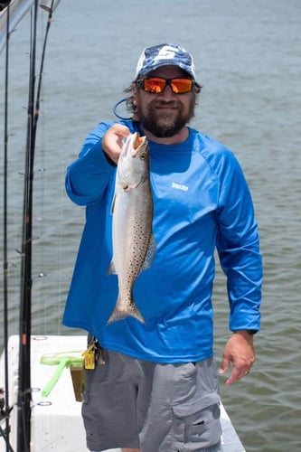 Gulf Shores Inshore Trip in Gulf Shores