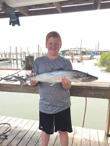 Federal Waters Snapper Trip in Gulf Shores