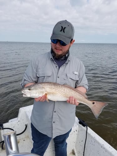 4 Hour Inshore Trip - 24' Kenner In Gulf Shores