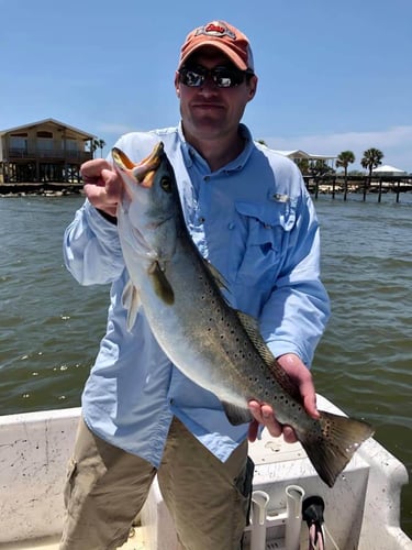 Gulf Shores Inshore Trip in Gulf Shores