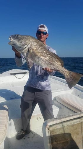 Gulf Shores Inshore Trip in Gulf Shores