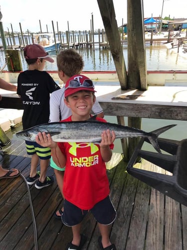 Federal Waters Snapper Trip in Gulf Shores