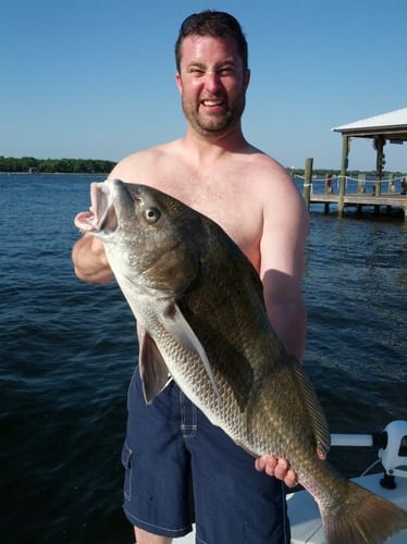 Fort Morgan Fishing Fun in Gulf Shores