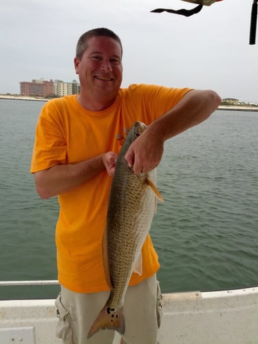 Fort Morgan Fishing Fun in Gulf Shores