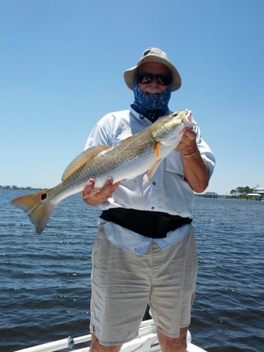Fort Morgan Fishing Fun in Gulf Shores