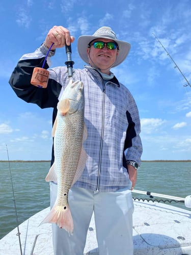 Texas Gulf Coast Inshore Action in Rockport