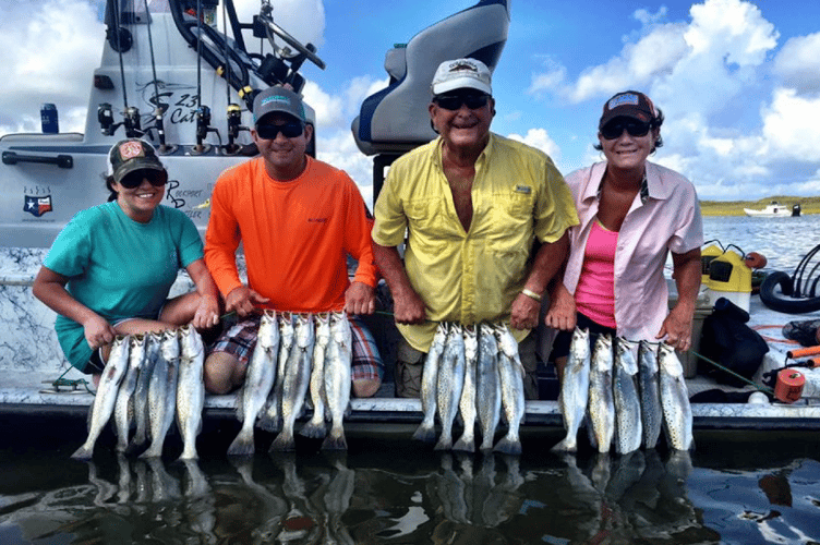 Texas Gulf Coast Inshore Action In Rockport