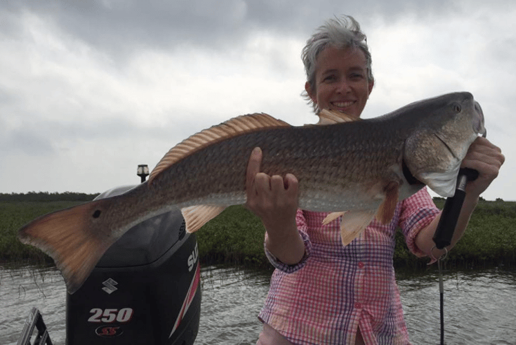 Texas Gulf Coast Inshore Action in Rockport