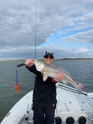 Texas Gulf Coast Inshore Action in Rockport