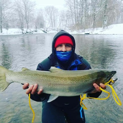 Salmon And Trout Fishing In Pulaski