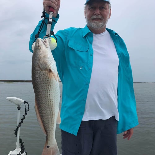 Baffin Bay Shallows In Aransas Pass