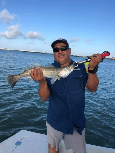 Baffin Bay Shallows In Aransas Pass