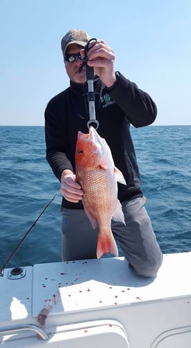 Offshore Fishing - 24ft Sea Pro In Fort Walton Beach