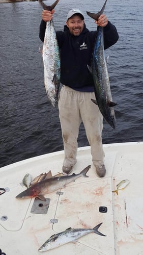 Offshore Fishing - 24ft Sea Pro In Fort Walton Beach