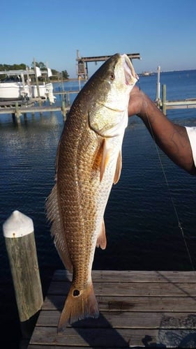Choctawhatchee Bay Reds and Trout in Fort Walton Beach