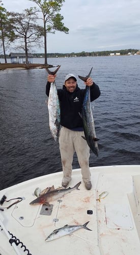 Offshore Fishing - 24ft Sea Pro In Fort Walton Beach