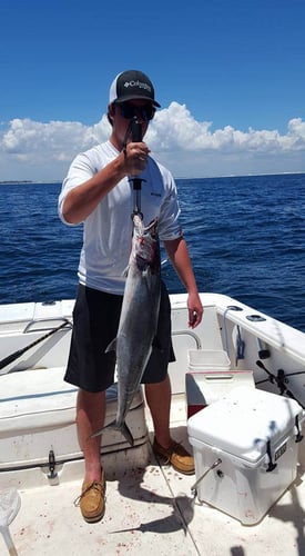 Offshore Fishing - 24ft Sea Pro In Fort Walton Beach