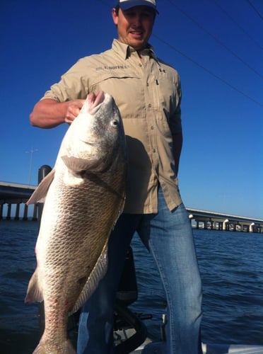 Big Trout Bay Fishing In Galveston