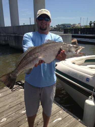 Big Trout Bay Fishing In Galveston