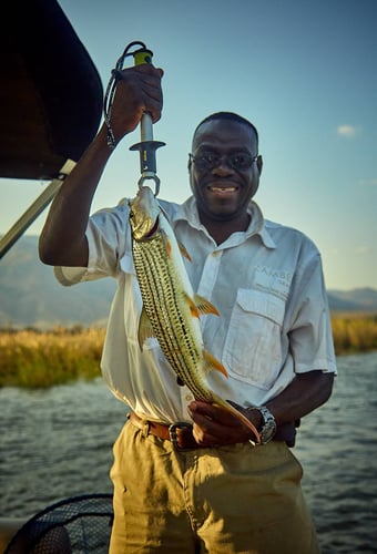 Luxury Zambia 5-Day Fishing Safari in Chimukuzi