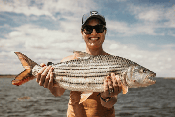 Luxury Zambia 5-Day Fishing Safari in Chimukuzi