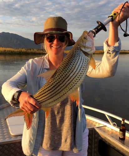 Luxury Zambia 5-Day Fishing Safari in Chimukuzi