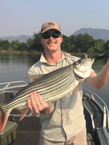 Experiences Catch & Release Tiger Fishing In Zambia