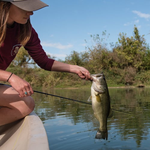 Colorado River Bass Fishing in Austin