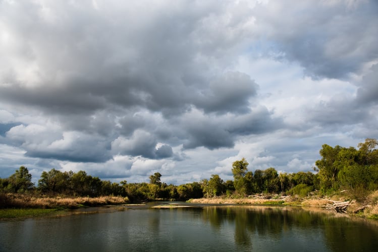 Colorado River Bass Fishing in Austin