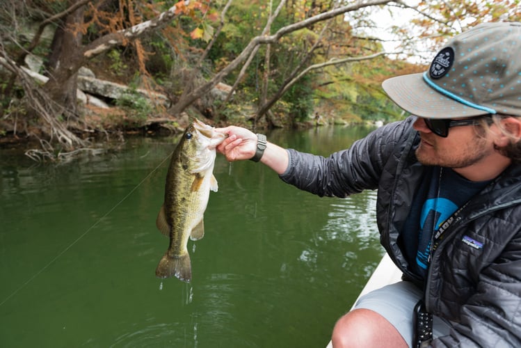 Colorado River Bass Fishing in Austin