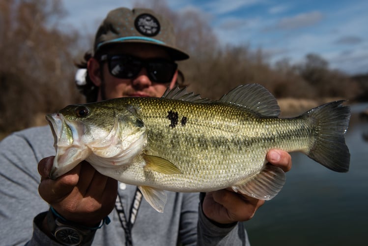 Colorado River Bass Fishing in Austin