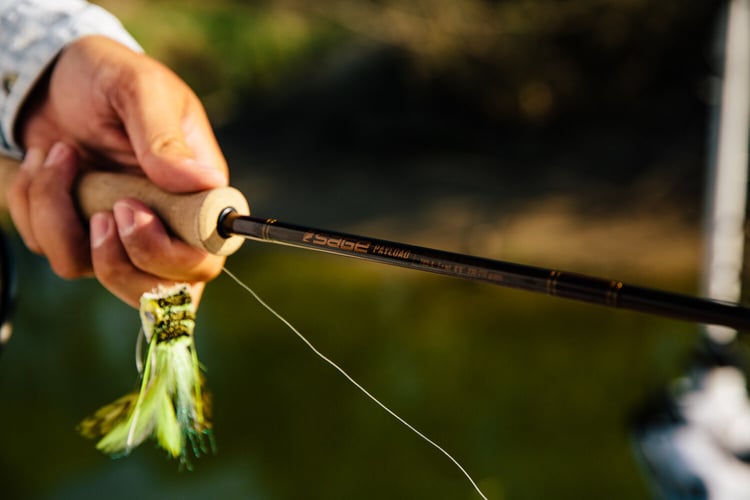 Colorado River Bass Fishing in Austin