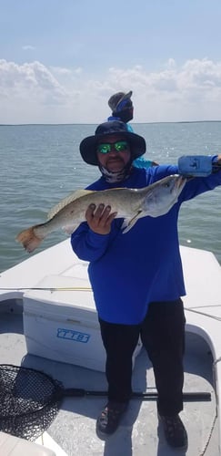 Full or Half Day Inshore in South Padre Island
