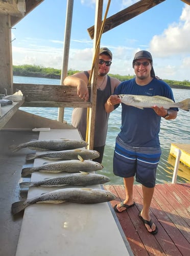 Full or Half Day Inshore in South Padre Island