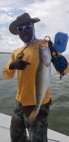 Full or Half Day Inshore in South Padre Island