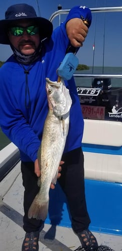 Full or Half Day Inshore in South Padre Island