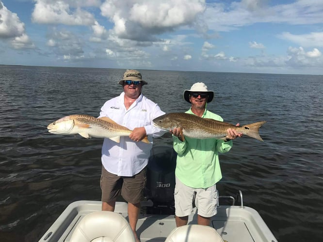 Full Day Inshore - 24' Blue Wave