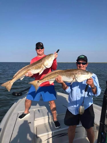 Full Day Inshore - 24' Blue Wave In Boothville-Venice