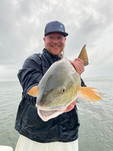 Full Day Inshore - 26' Blackjack In Boothville-Venice