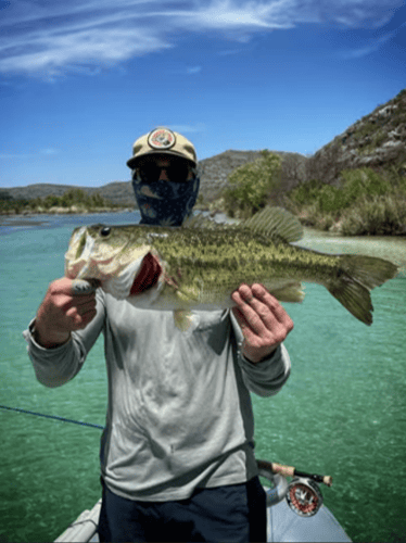 Texas Rivers Adventure in New Braunfels