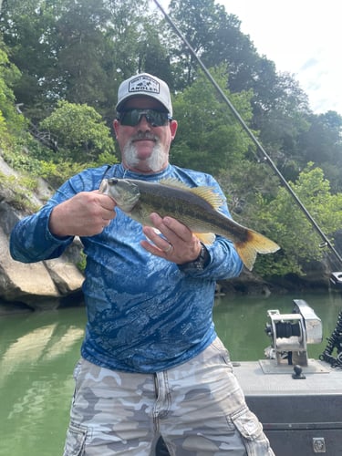 French Broad River Fishing In Sevierville