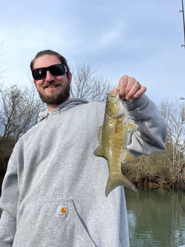 French Broad River Fishing In Sevierville