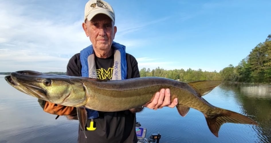 Wallhanger Musky Guide Trips In Eagle River