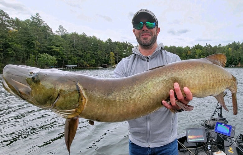 Wallhanger Musky Guide Trips in Eagle River