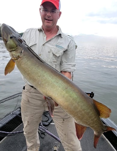 Wallhanger Musky Guide Trips in Eagle River