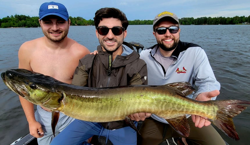 Wallhanger Musky Guide Trips In Eagle River