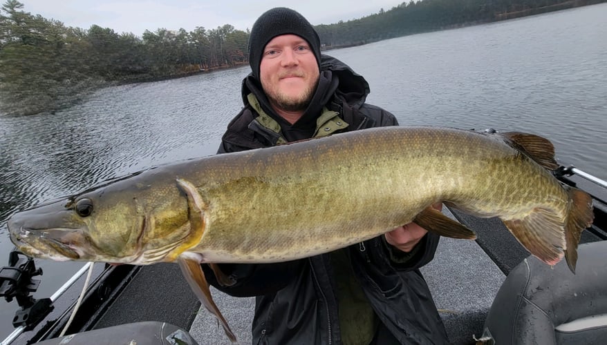 Wallhanger Musky Guide Trips in Eagle River