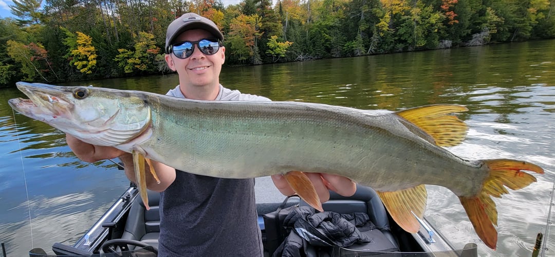 Wallhanger Musky Guide Trips in Eagle River