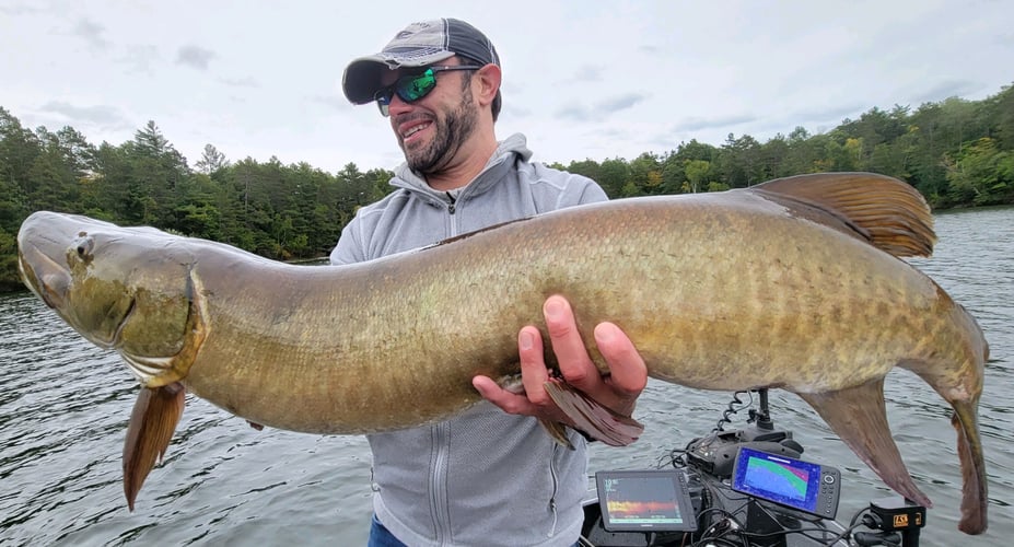 Wallhanger Musky Guide Trips In Eagle River